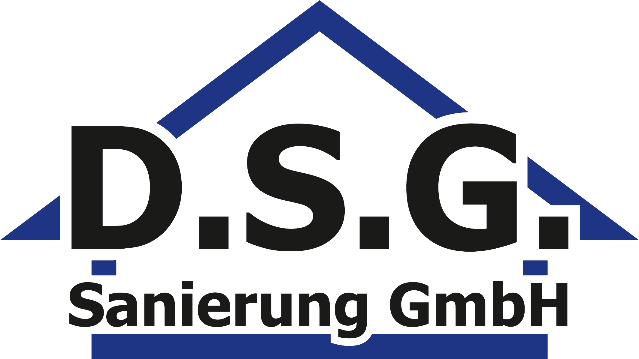 dsg_logo